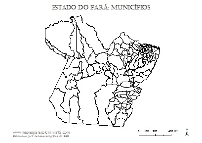 Mapa do Pará com contorno dos municípios.