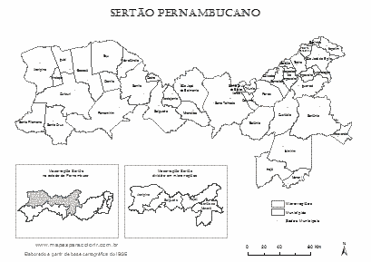 Mapa da Mesorregião Sertão Pernambucano com microrregiões, municípios e localização no estado.